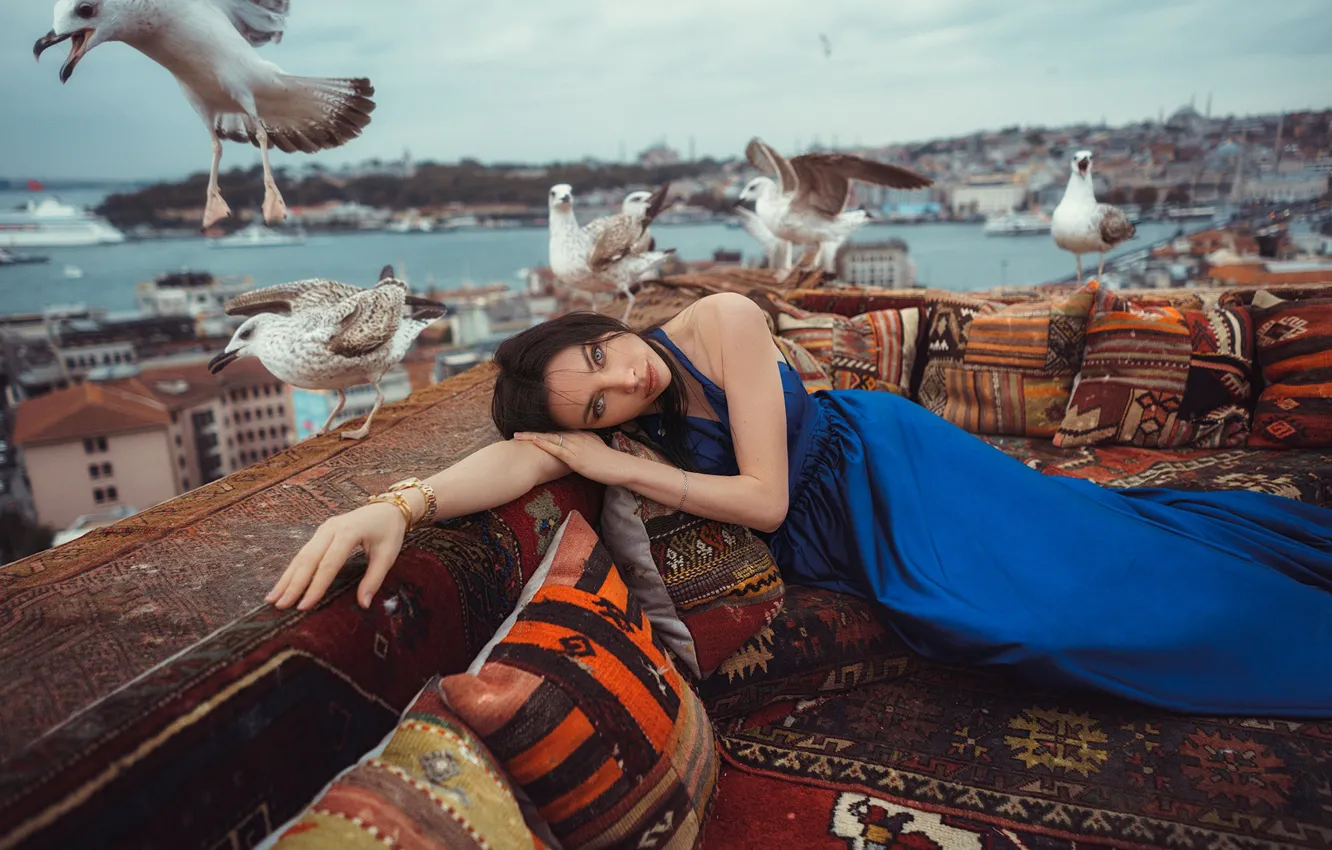 Photo wallpaper girl, birds, pose, seagulls, carpet, pillow, hands, dress