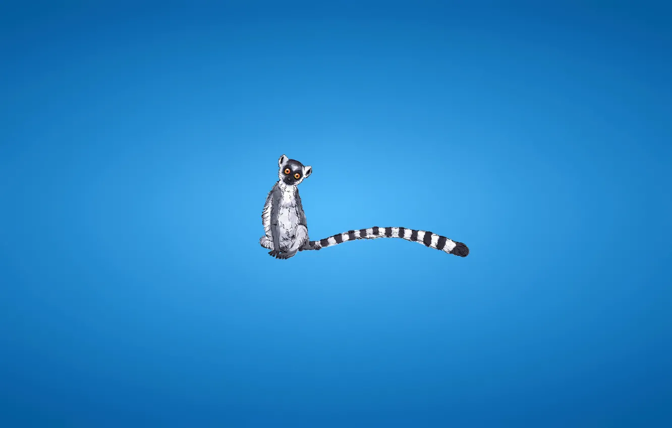 Photo wallpaper minimalism, tail, lemur, striped, blue background, lemur