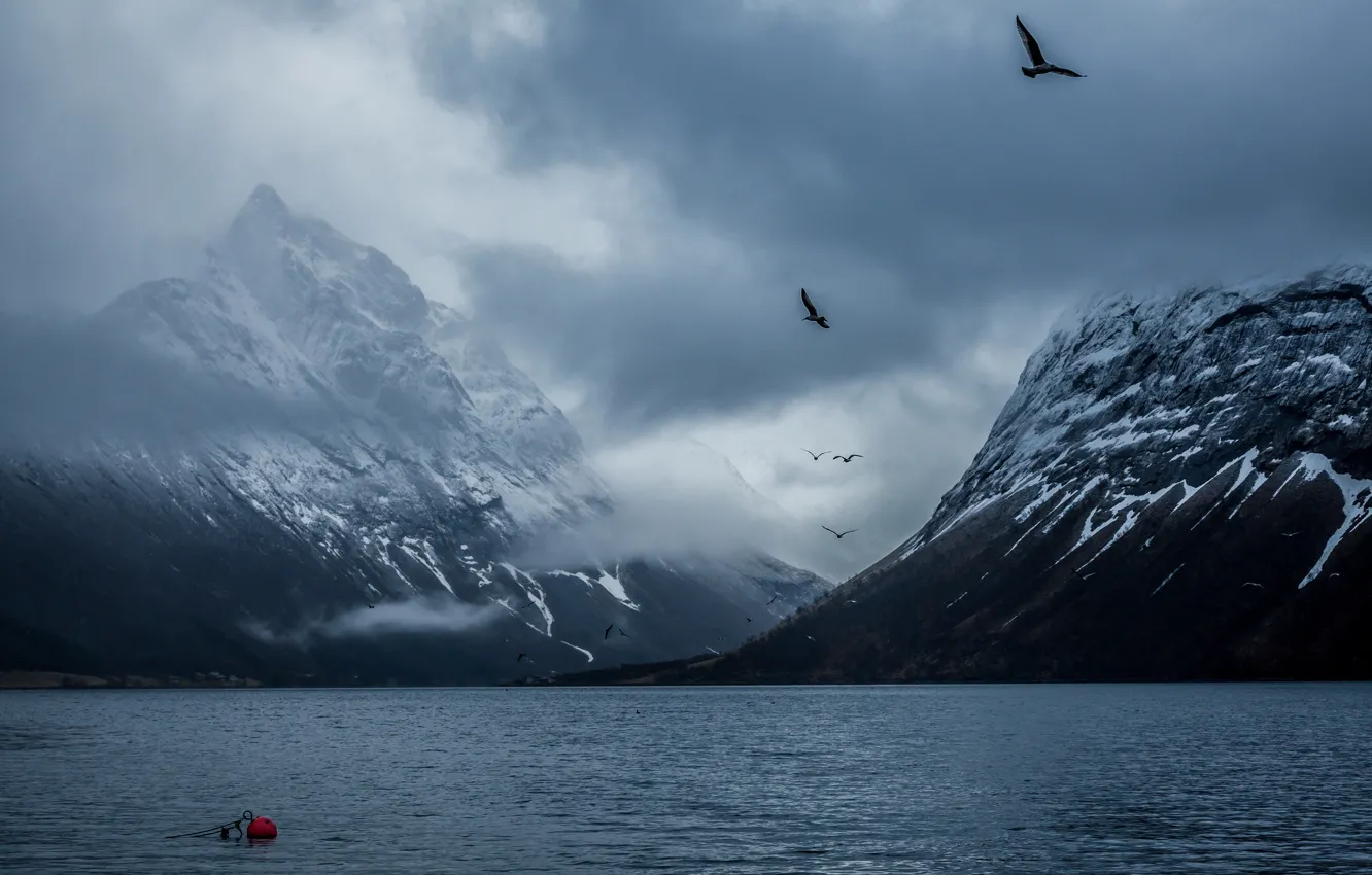 Photo wallpaper mountains, bird, Norway, Bay, Bakin