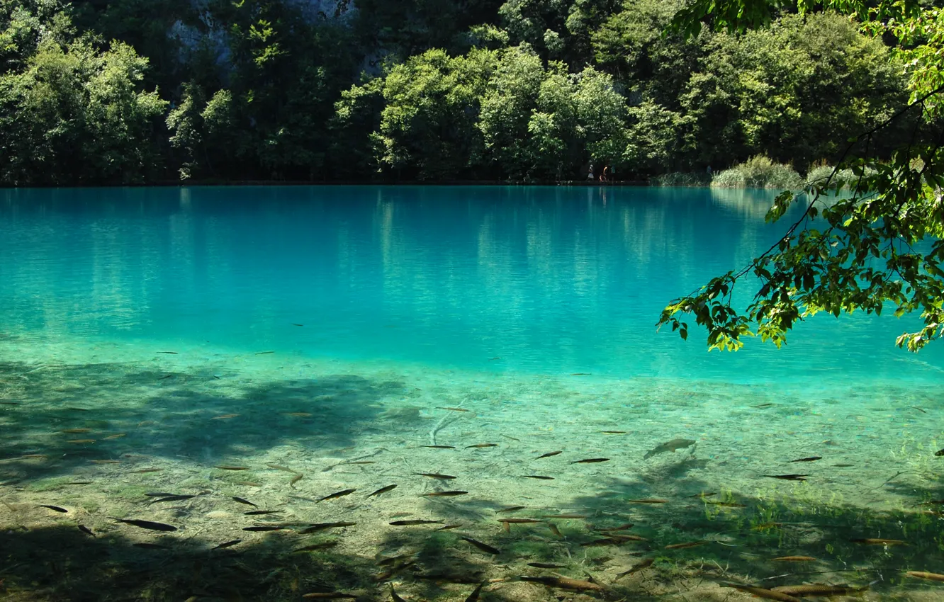 Photo wallpaper water, fish, nature, lake, blue, Plitvice Lake