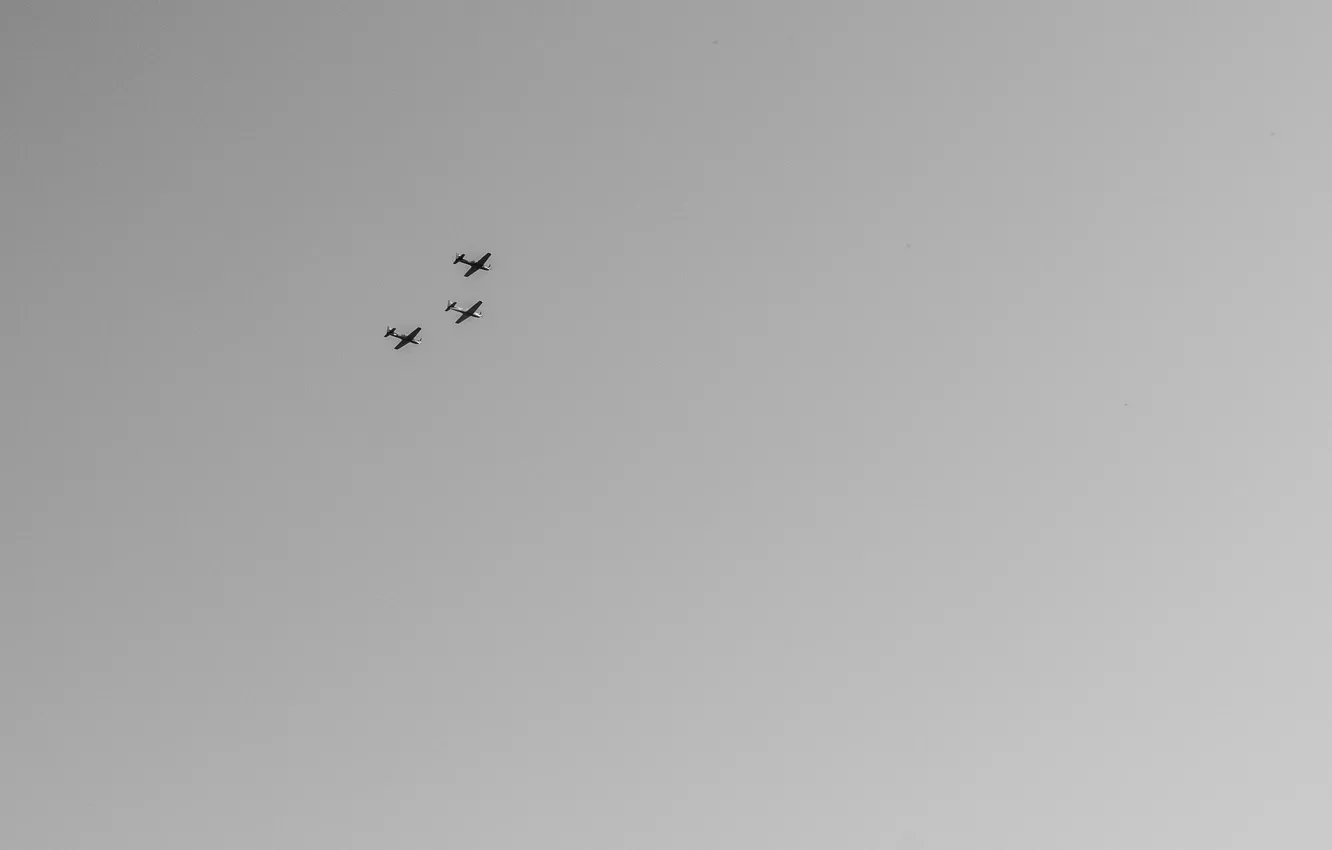 Photo wallpaper sky, flying, flight, airplanes, Planes