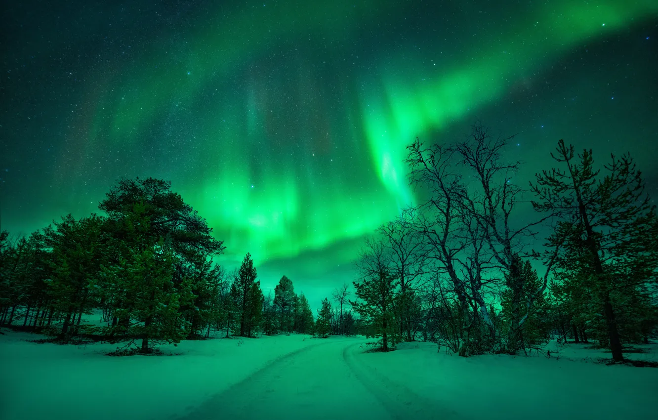 Photo wallpaper winter, road, the sky, snow, trees, night, nature, Northern lights