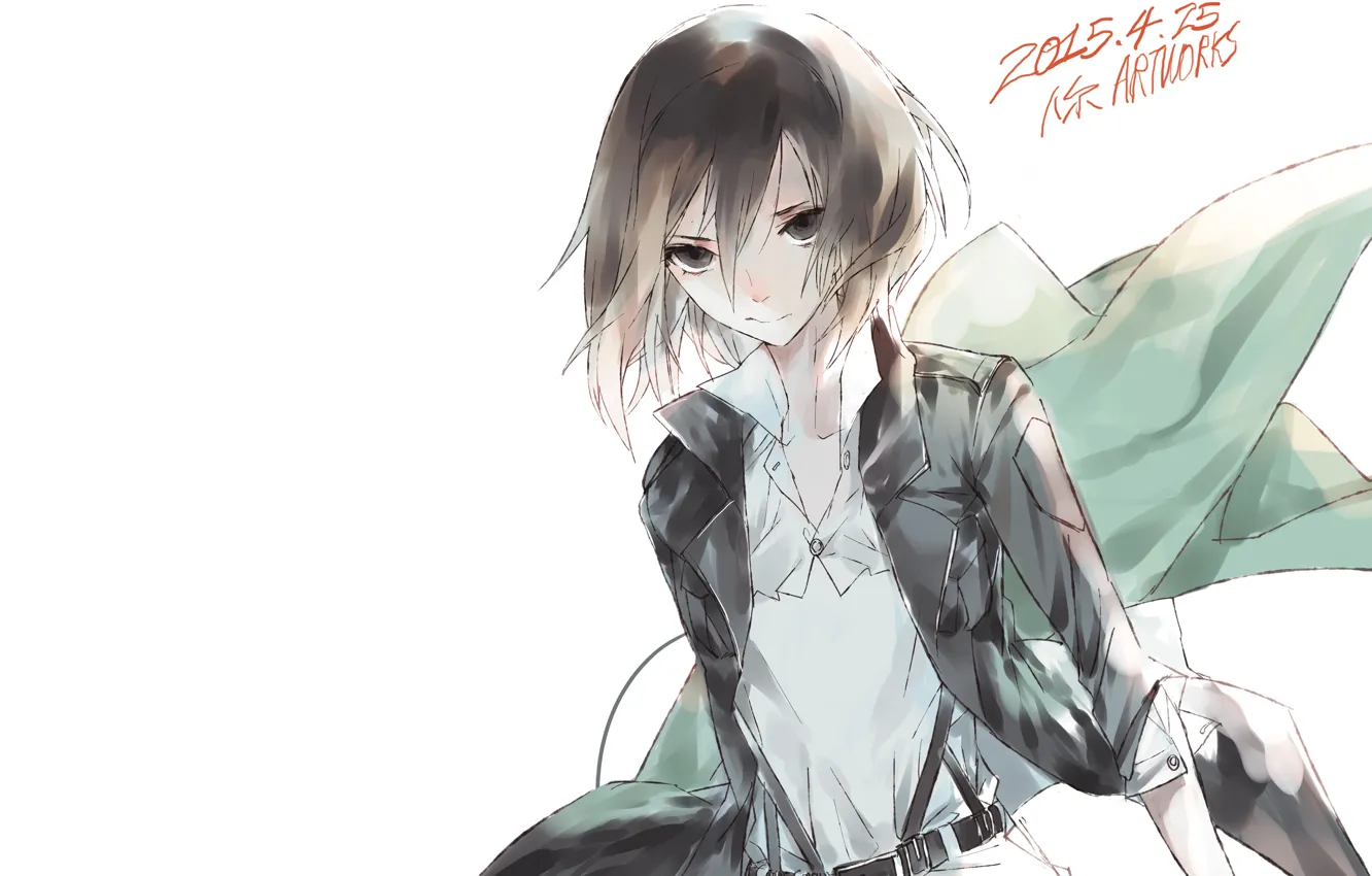 Photo wallpaper Shingeki no Kyojin, Attack Of The Titans, Mikasa Ackerman