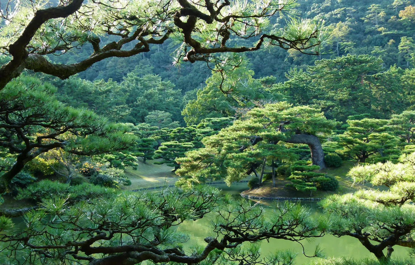 Photo wallpaper trees, nature, Park, photo, Japan, Takamatsu, Ritsurin garden