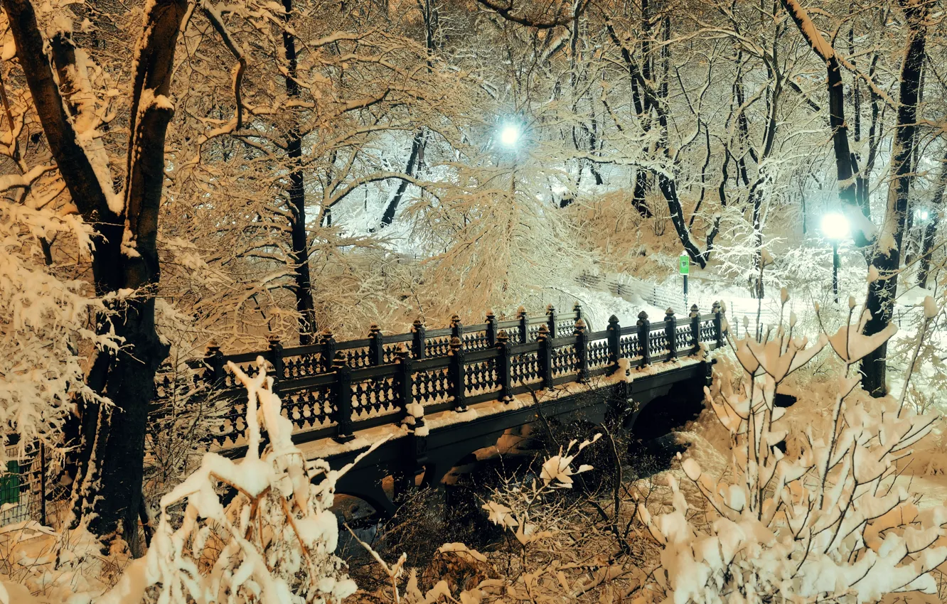 Photo wallpaper winter, snow, trees, bridge, city, Park, landscape, bridge