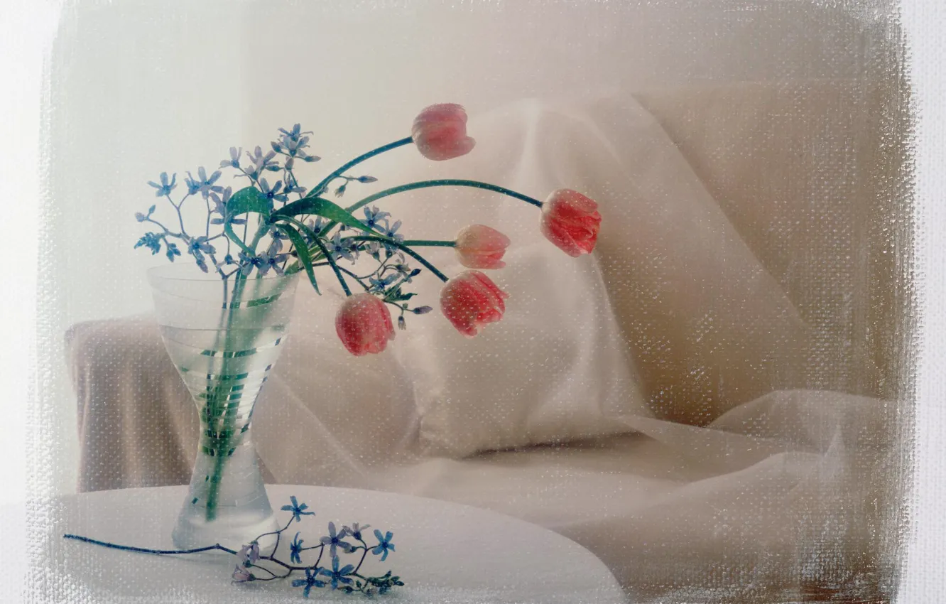Photo wallpaper flowers, photo, sofa, treatment, bouquet, tulips, pillow, vase