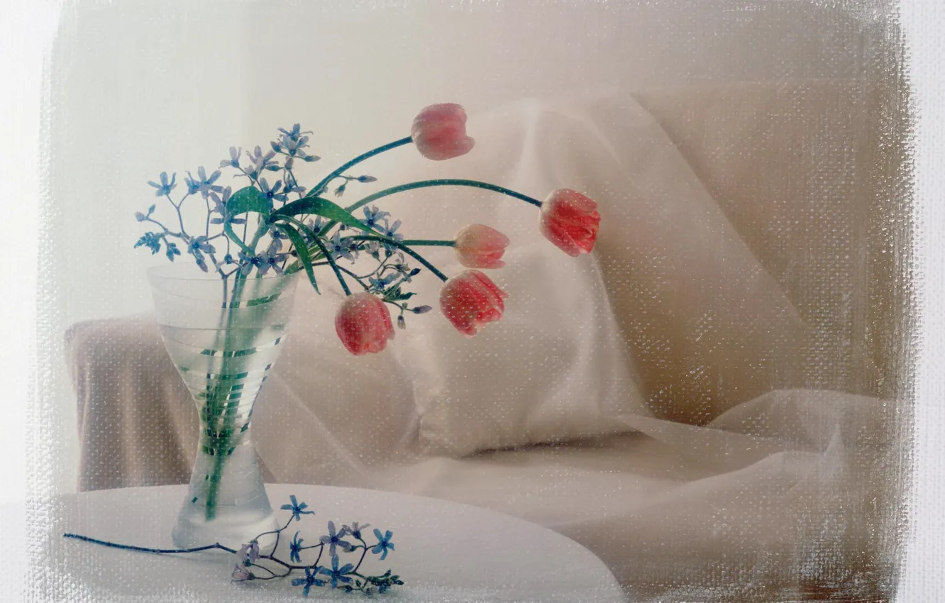 Photo wallpaper flowers, photo, sofa, treatment, bouquet, pillow, tulips, vase