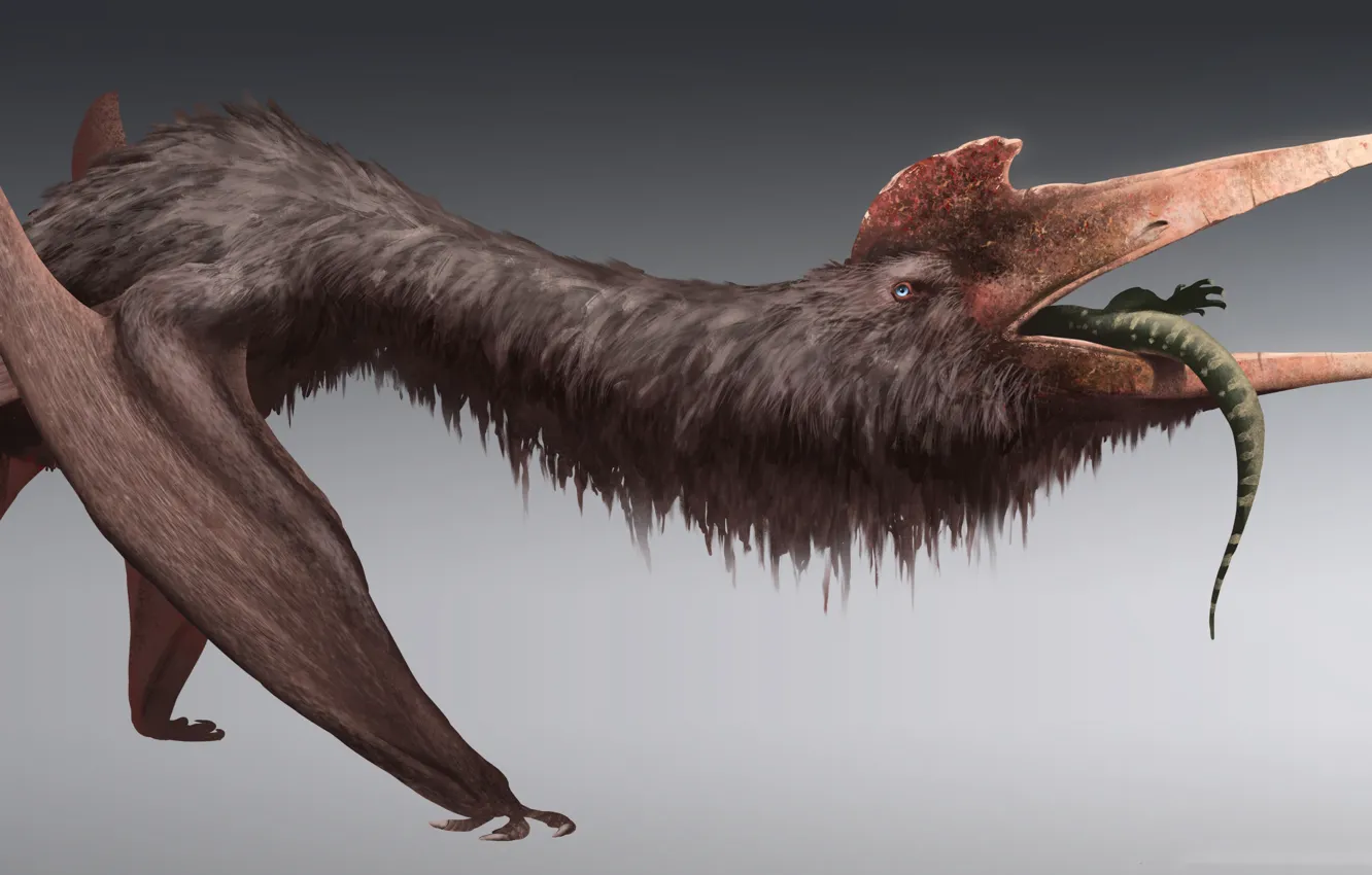 Photo wallpaper background, dinosaur, mining