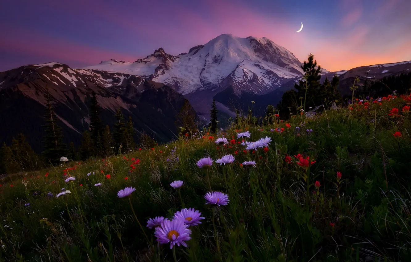 Photo wallpaper the sky, flowers, mountains, the evening, meadow, Doug Shearer, mount Rainier