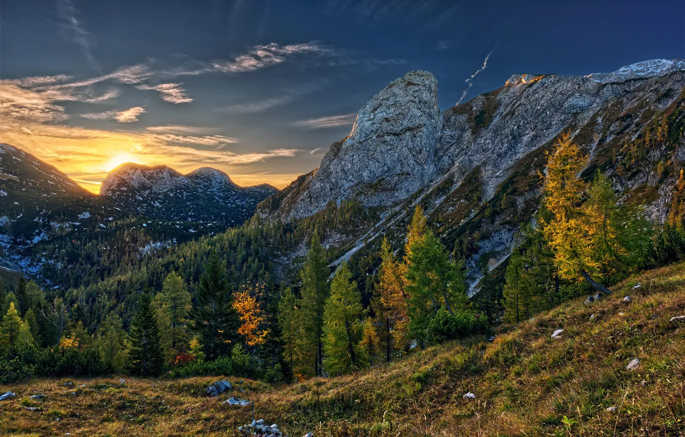 Photo wallpaper autumn, trees, mountains, sunrise, dawn, Austria, Alps, Hochkogel Mountain