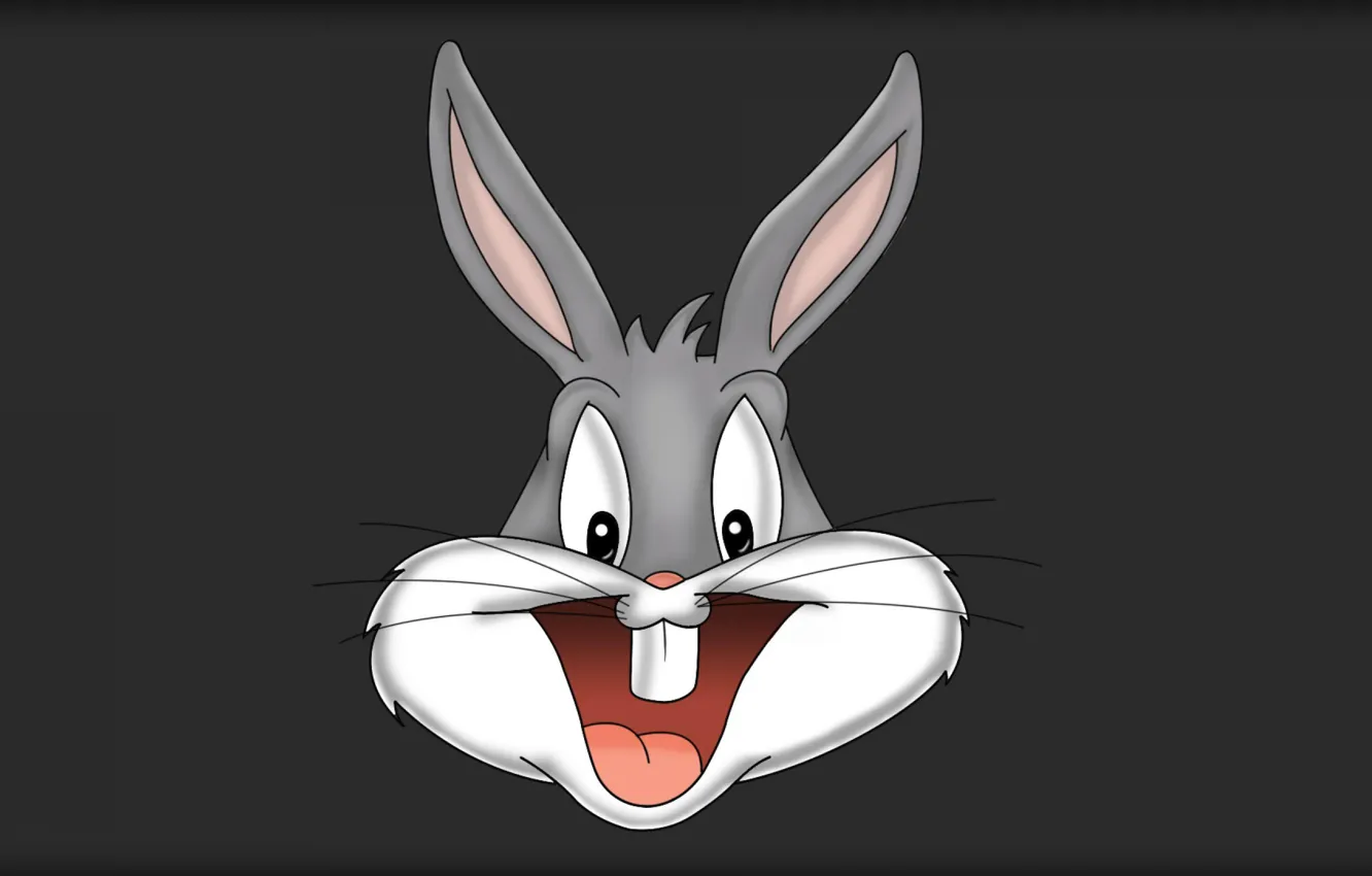 Photo wallpaper cartoon, rabbit, Looney Tunes, Bugs Bunny, Bugs Bunny, Bugs Bunny