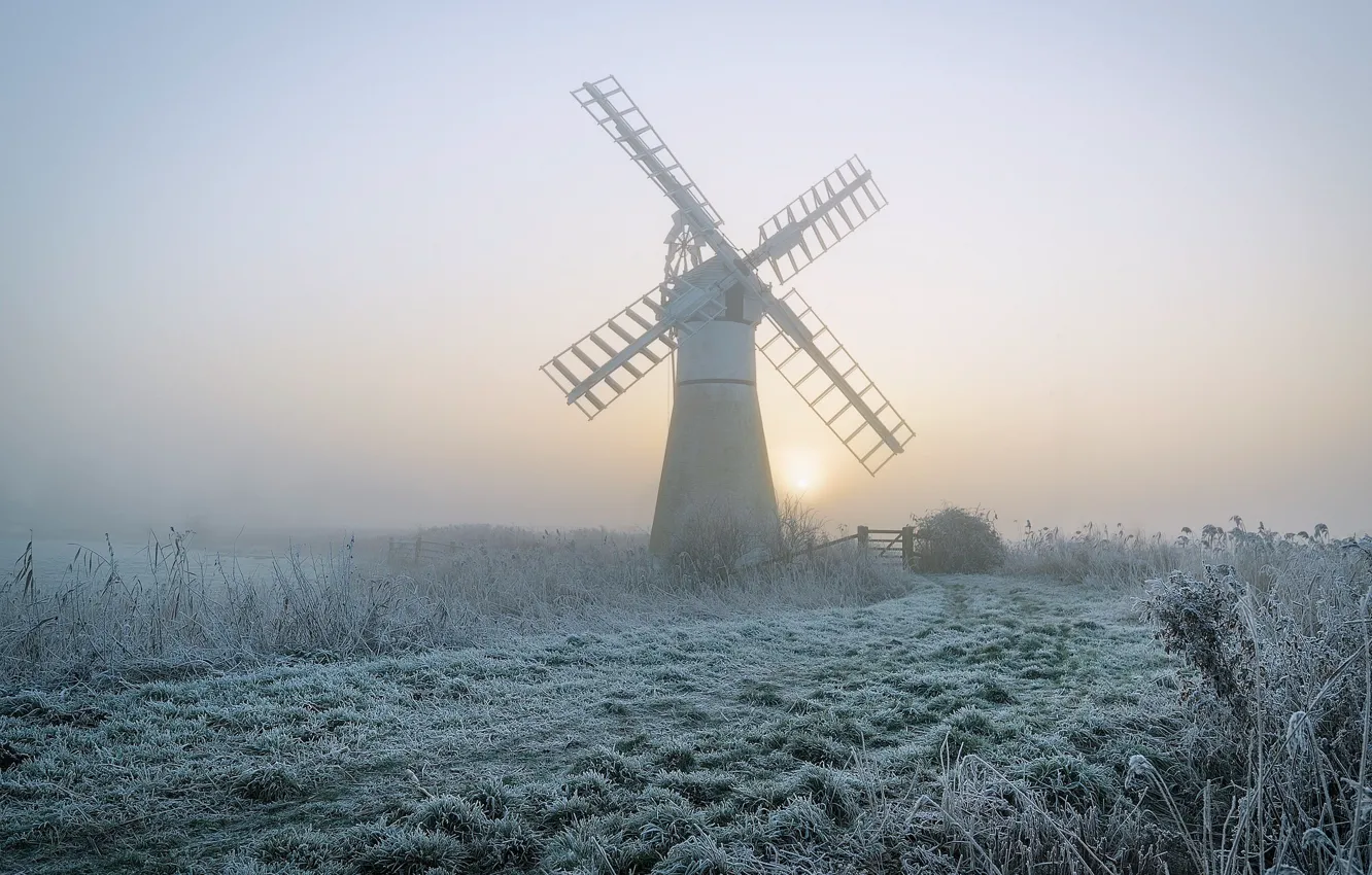 Photo wallpaper frost, grass, the sun, fog, dawn, morning, mill