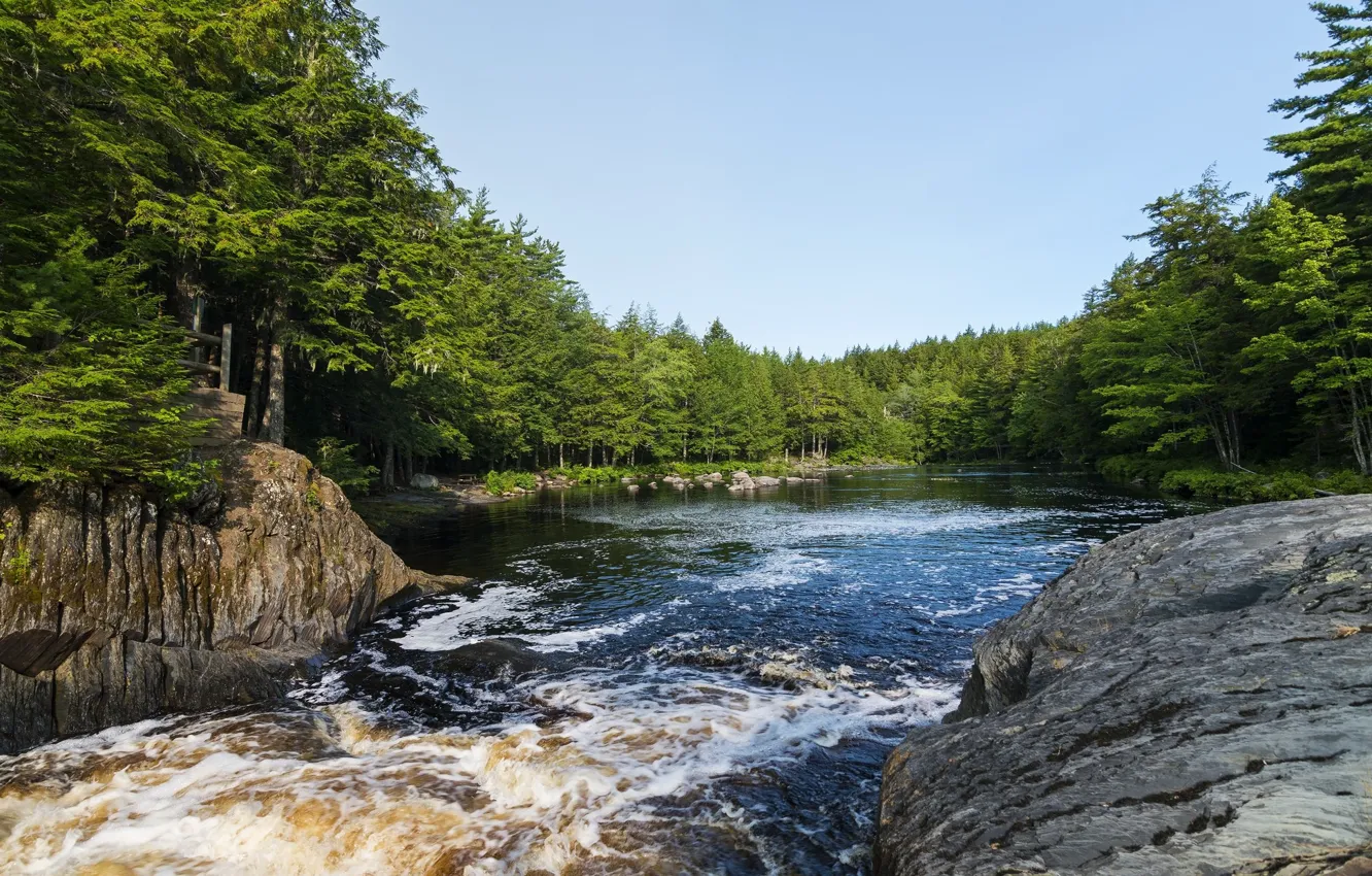 Photo wallpaper forest, the sky, landscape, nature, river