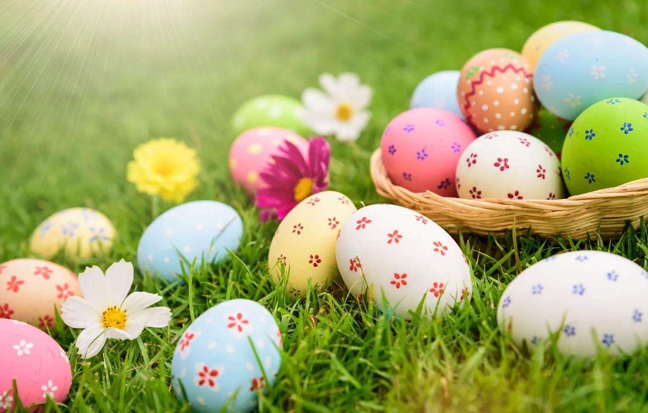 Photo wallpaper holiday, eggs, spring, Easter, basket