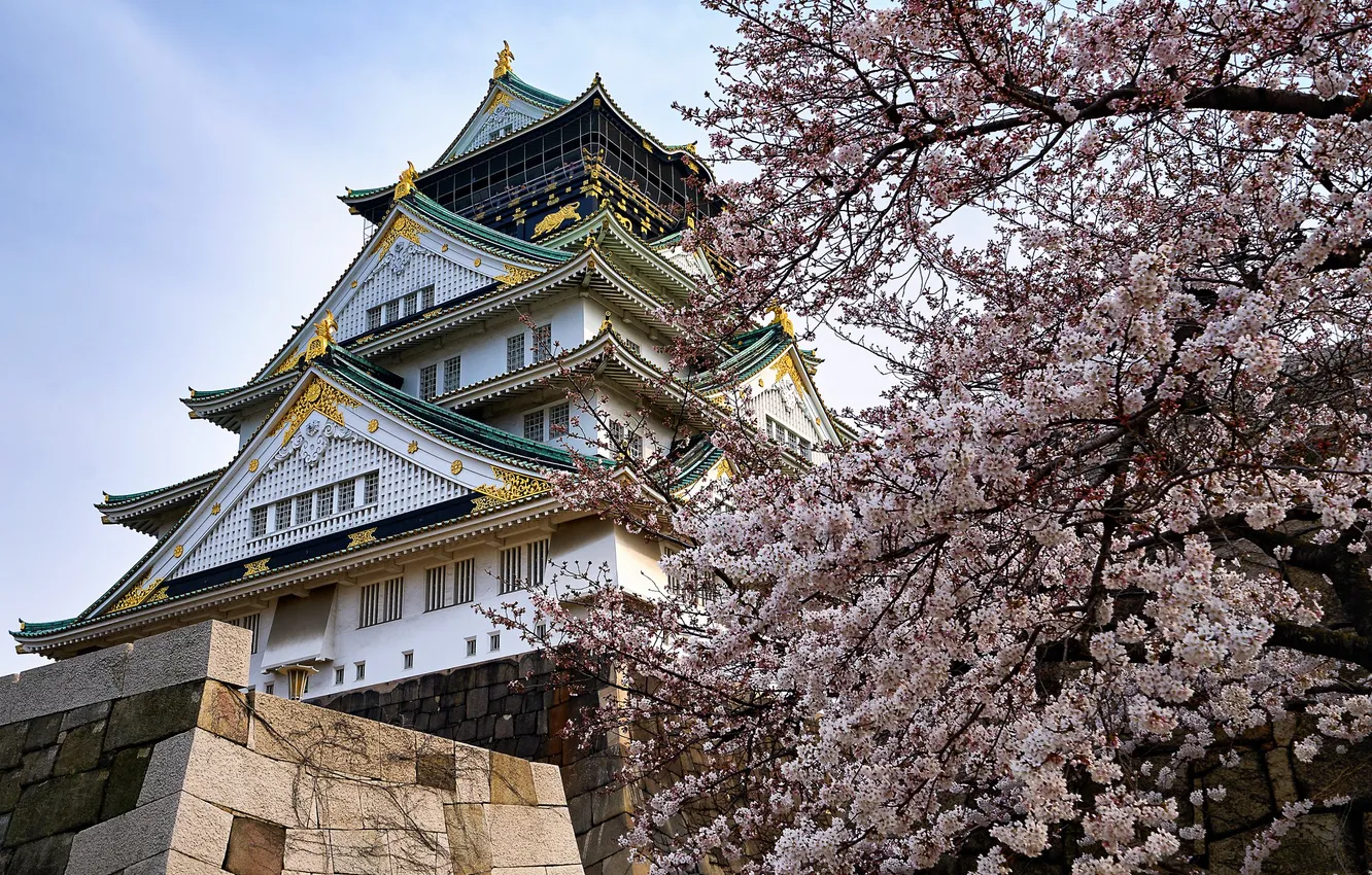 Japan Castles Spring Wallpaper castle, spring, Japan, Sakura for mobile and desktop, section ...