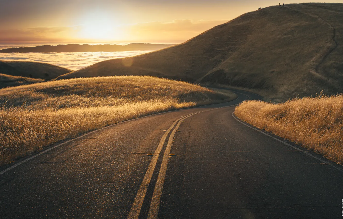 Photo wallpaper road, the sky, grass, the sun, sunset, hills