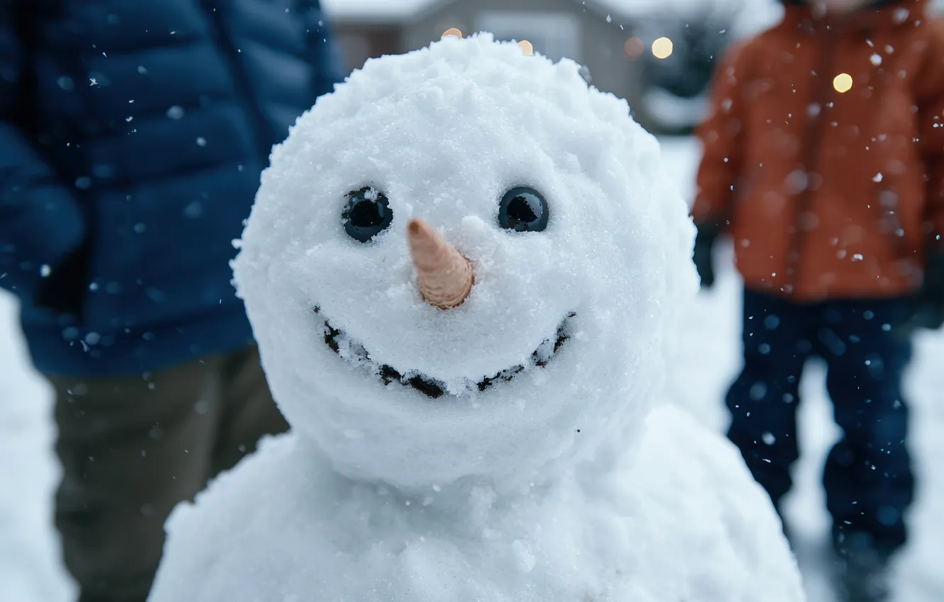 Photo wallpaper winter, snow, nature, smile, people, new year, carrot, Christmas