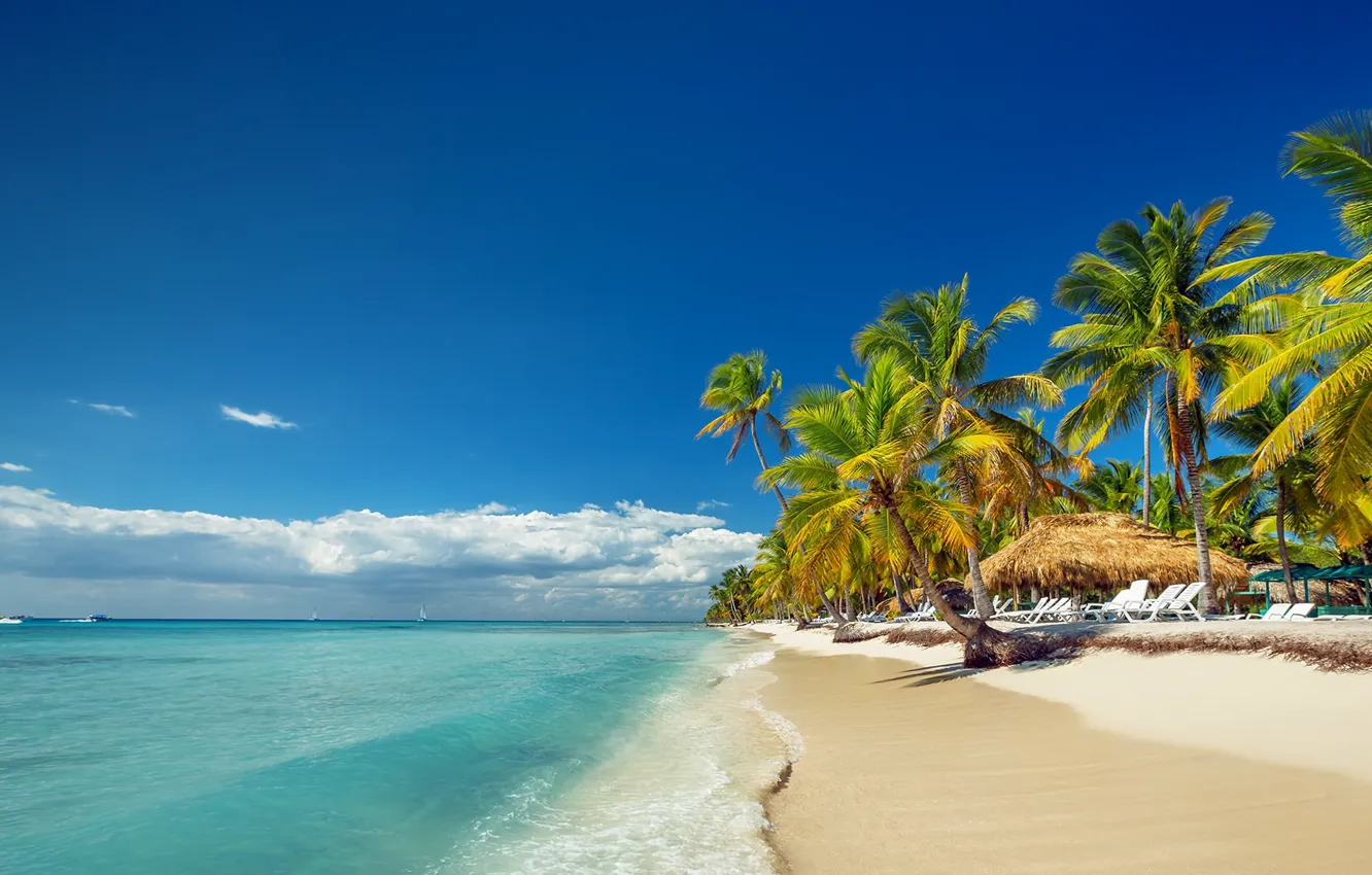 Photo wallpaper palm trees, beach, sand, sea, Dominican Republic