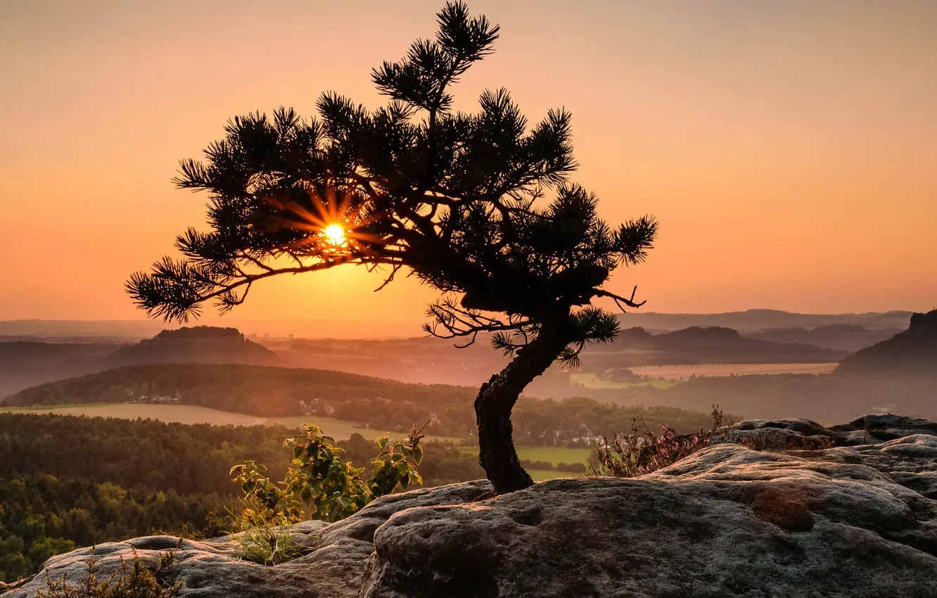 Photo wallpaper the sun, rays, mountains, space, valley, pine