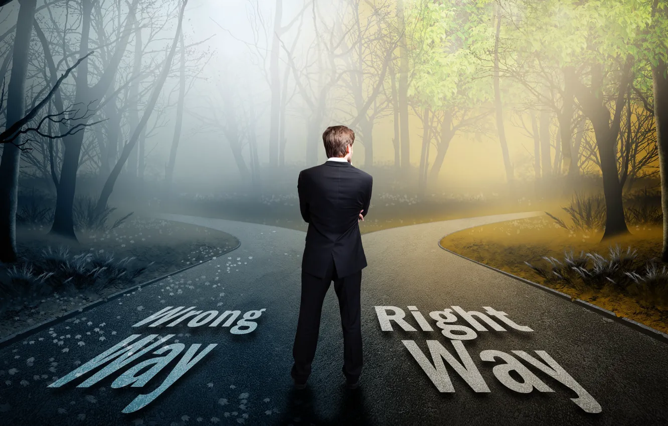 Photo wallpaper way, choice, moral