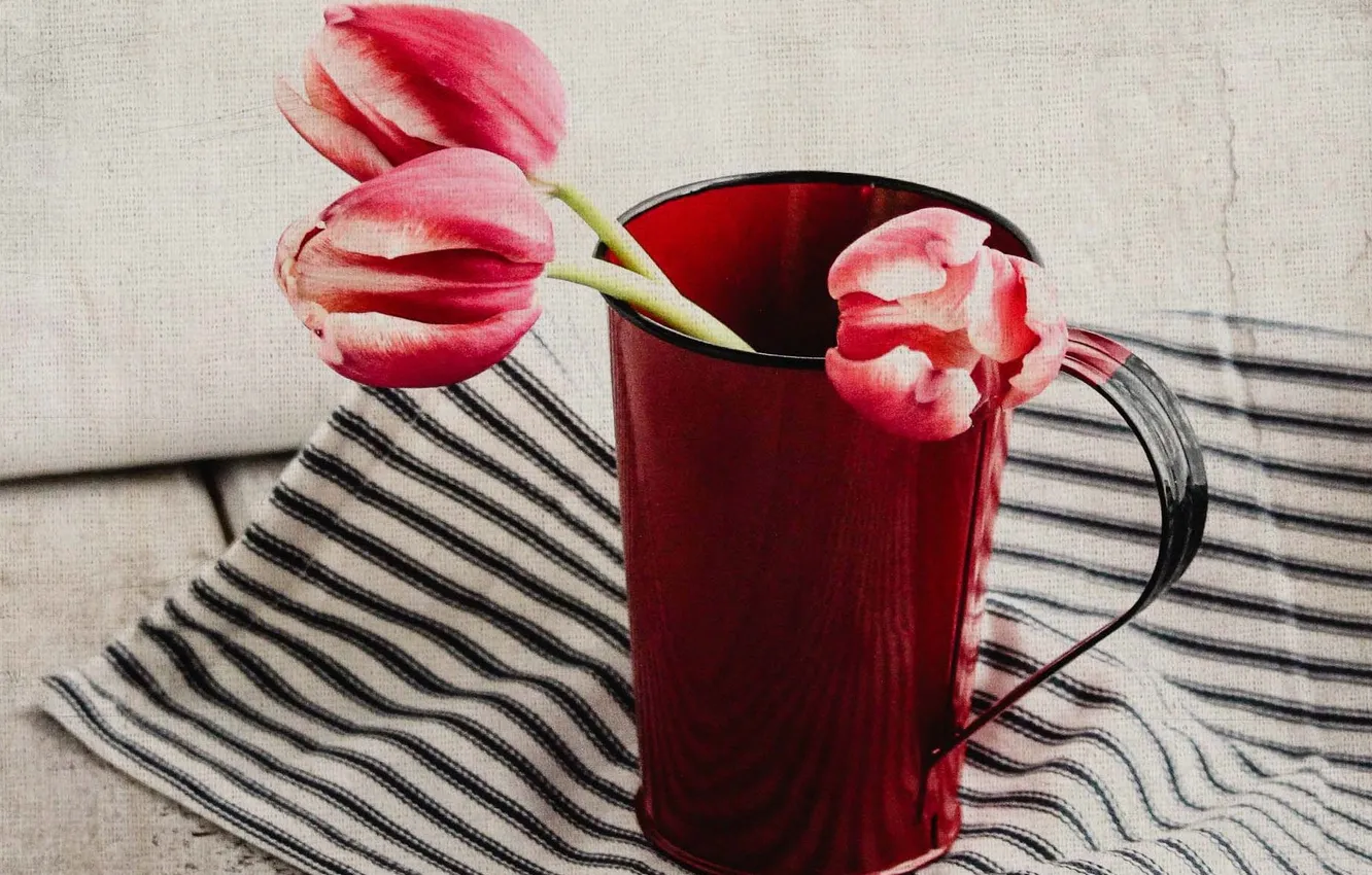 Photo wallpaper flowers, background, tulips