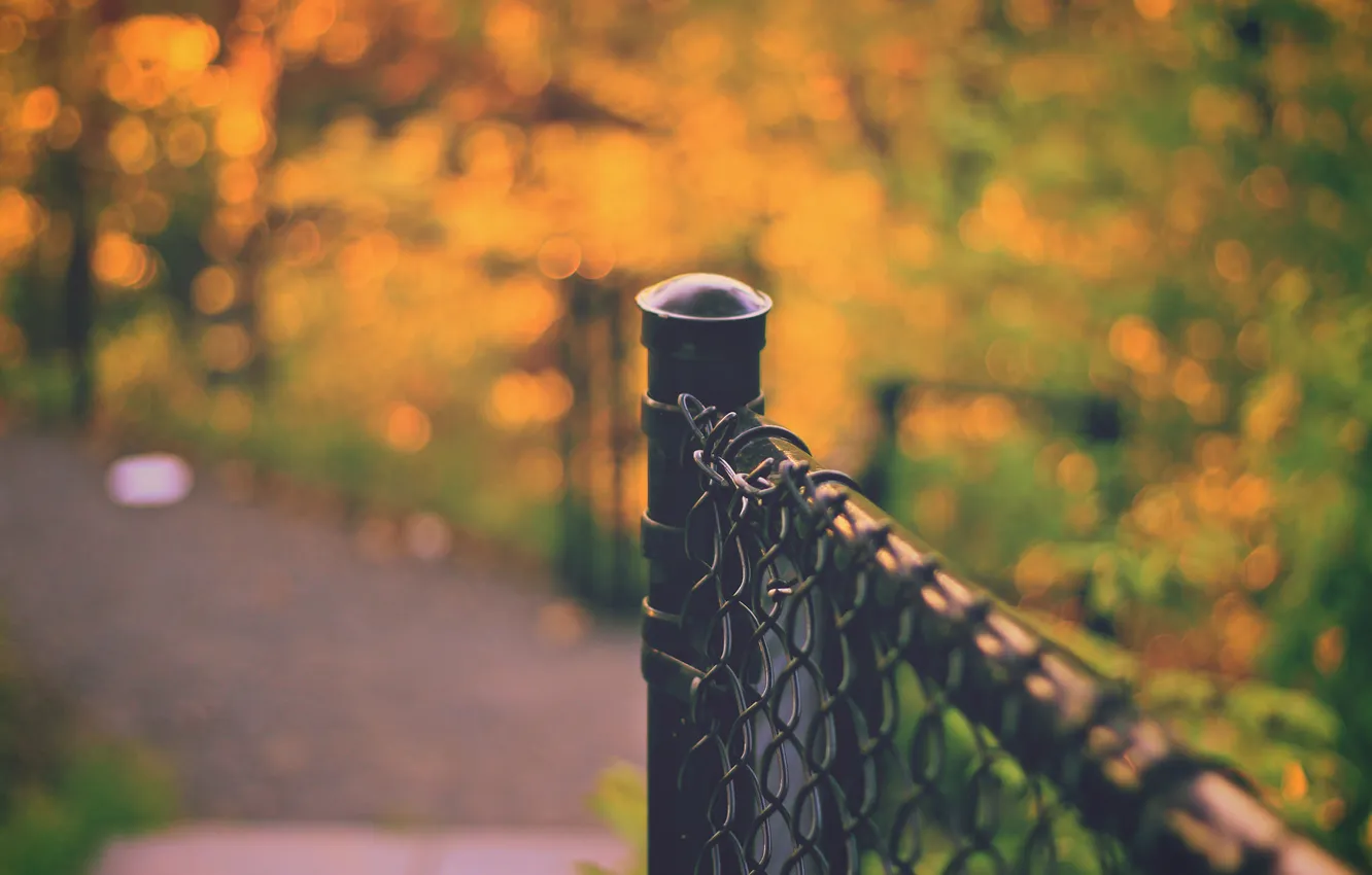 Photo wallpaper the fence, fence, bokeh