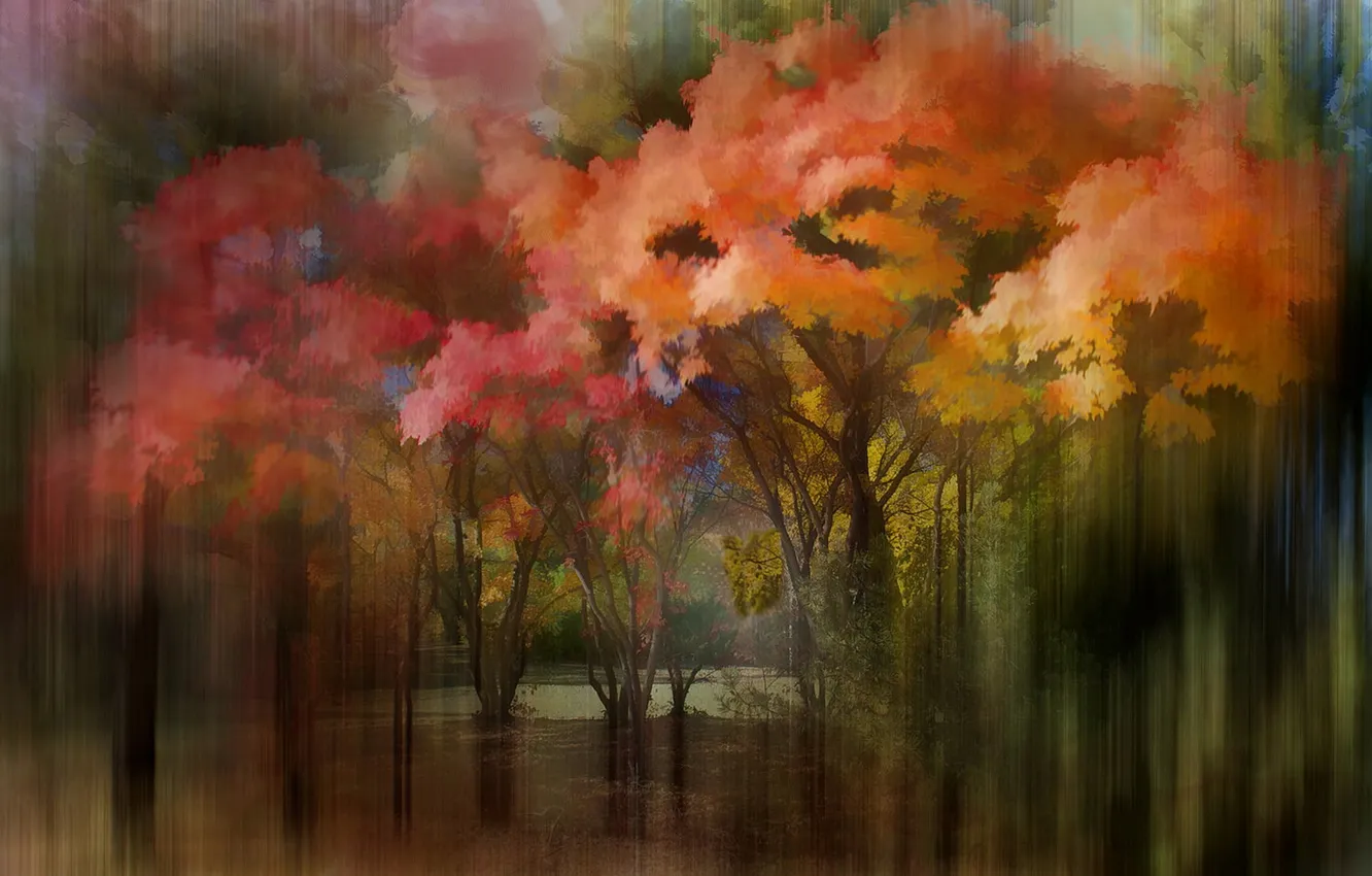 Photo wallpaper autumn, trees, nature