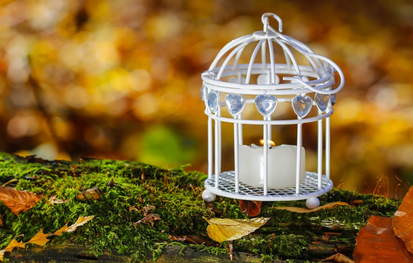 Photo wallpaper autumn, leaves, candles, bokeh