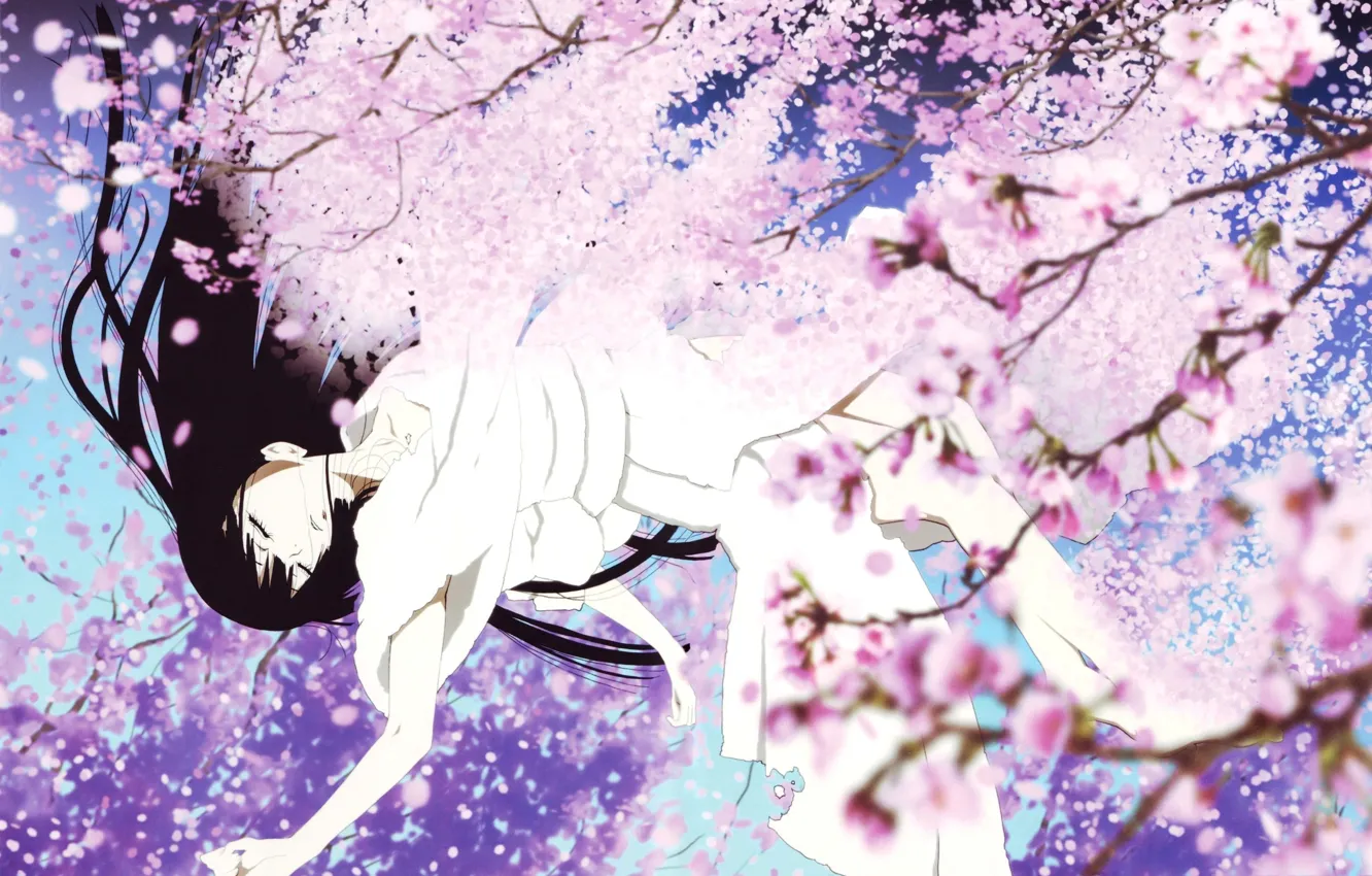 Photo wallpaper girl, Sakura, drop, flowers.