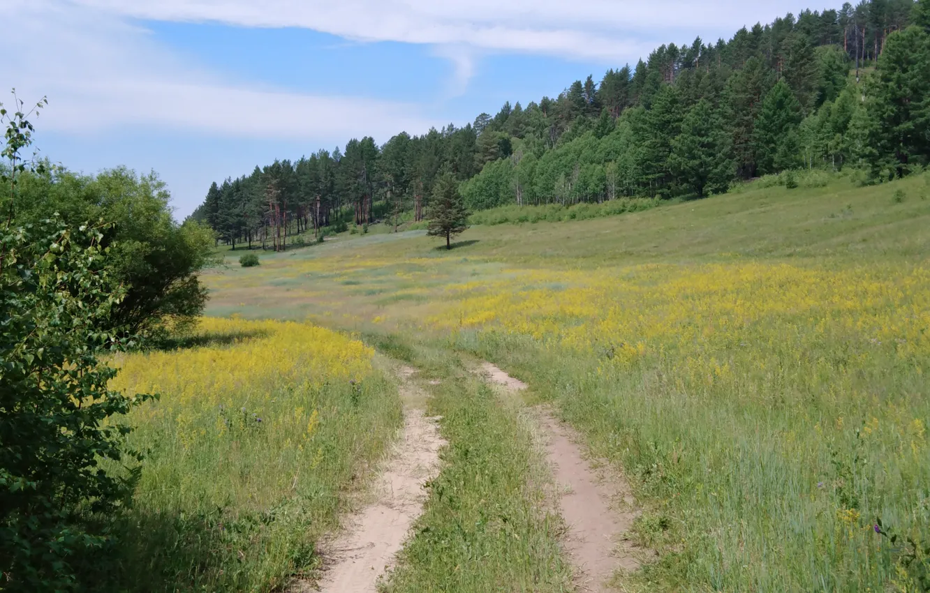 Photo wallpaper road, field, forest, the sky