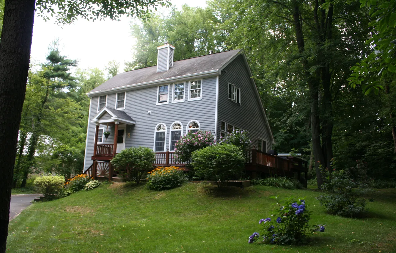 Photo wallpaper greens, the city, home, cottage