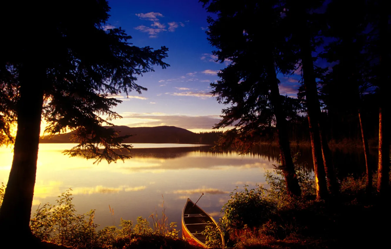 Photo wallpaper trees, sunset, lake, boat