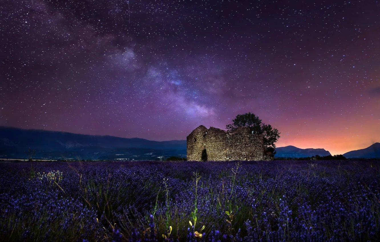 Photo wallpaper field, the sky, stars, night, tree, collapsed, the milky way, lavender