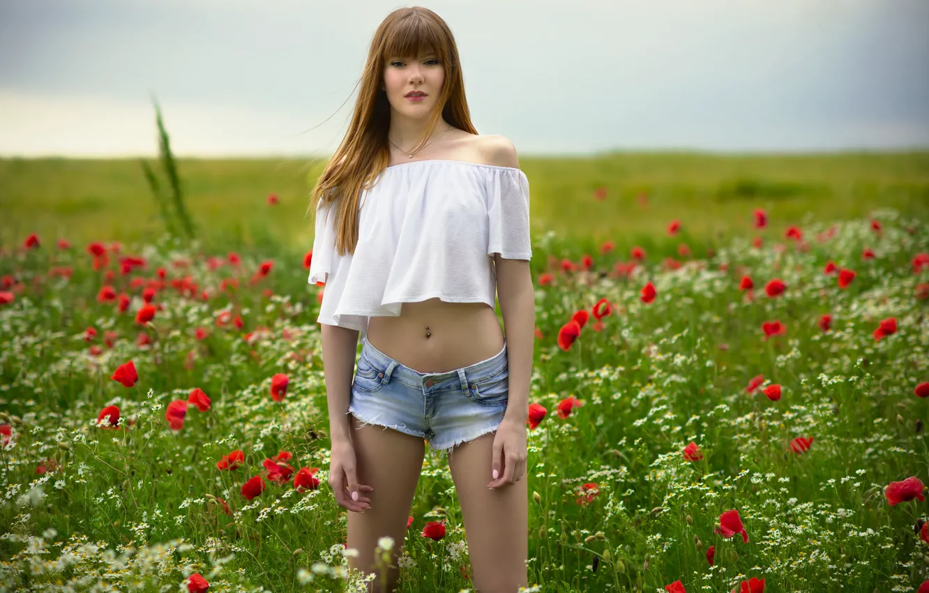 Photo wallpaper summer, grass, sexy, Maki, chamomile, meadow, shorts, brown hair