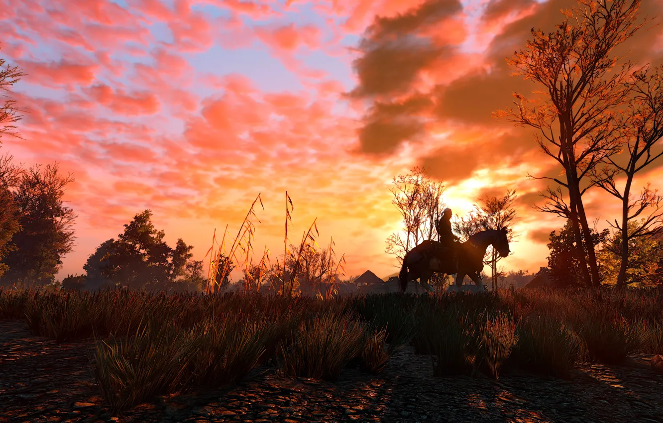 Photo wallpaper The Wild Hunt, The Witcher, The Witcher, The Witcher 3 Wild Hunt