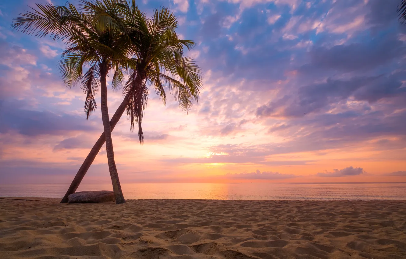 Photo wallpaper sand, sea, wave, beach, summer, sunset, palm trees, shore