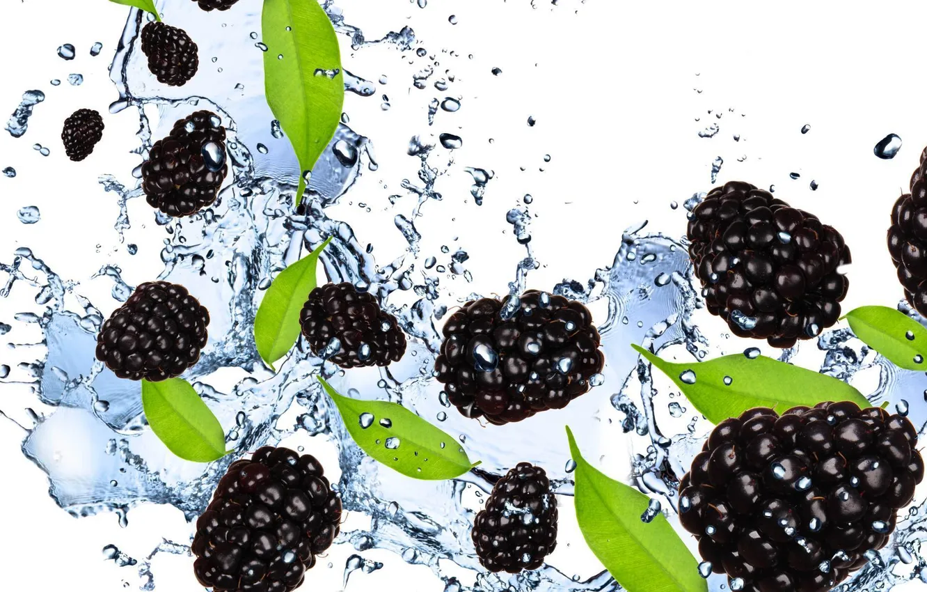 Photo wallpaper water, squirt, berries, white background, BlackBerry, blackberry