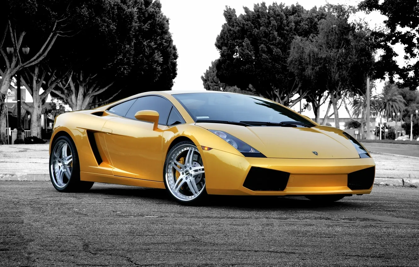 Photo wallpaper the sky, trees, reflection, street, Lamborghini, Gallardo, yellow, Lamborghini