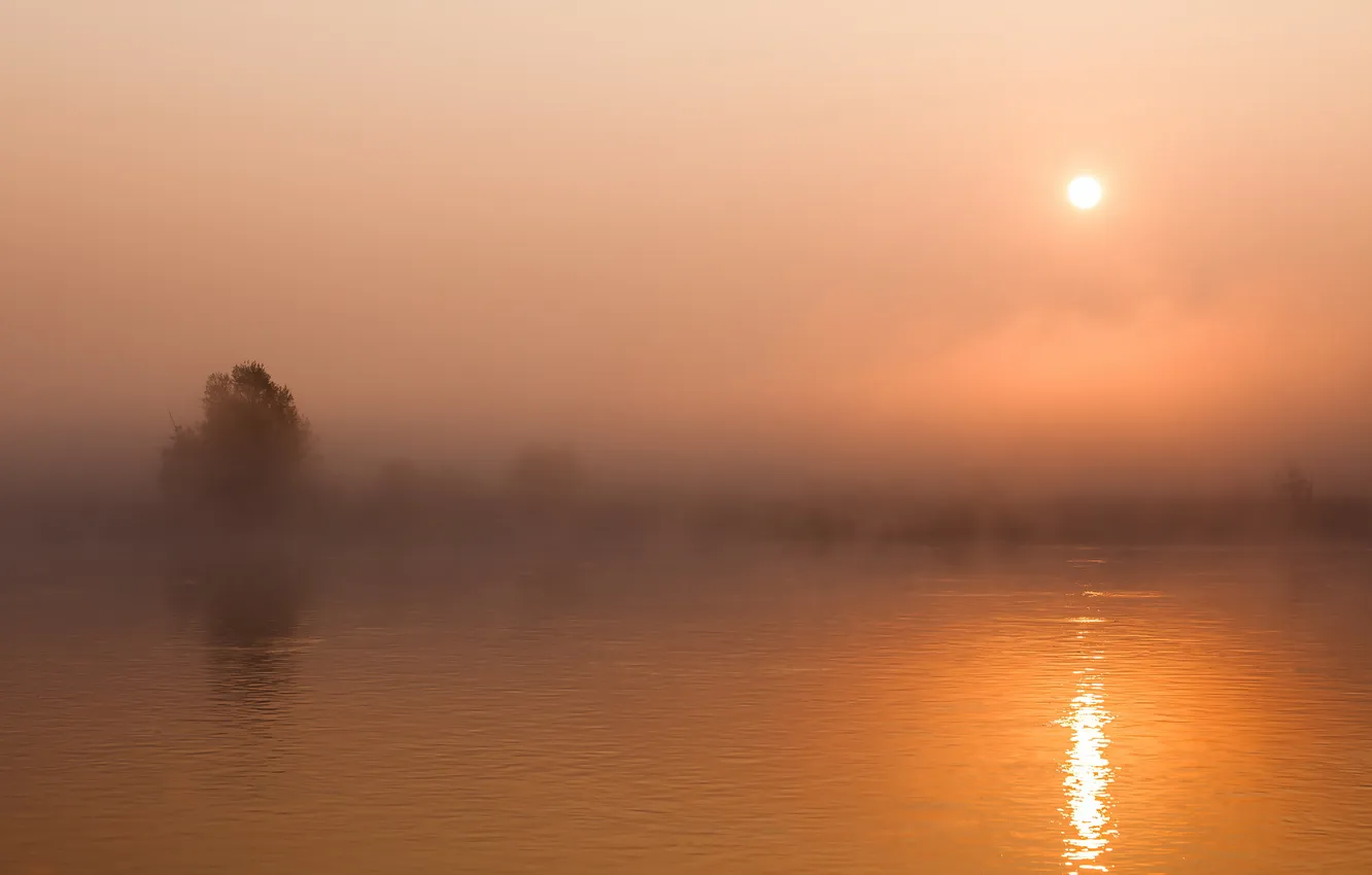 Photo wallpaper sunset, fog, river