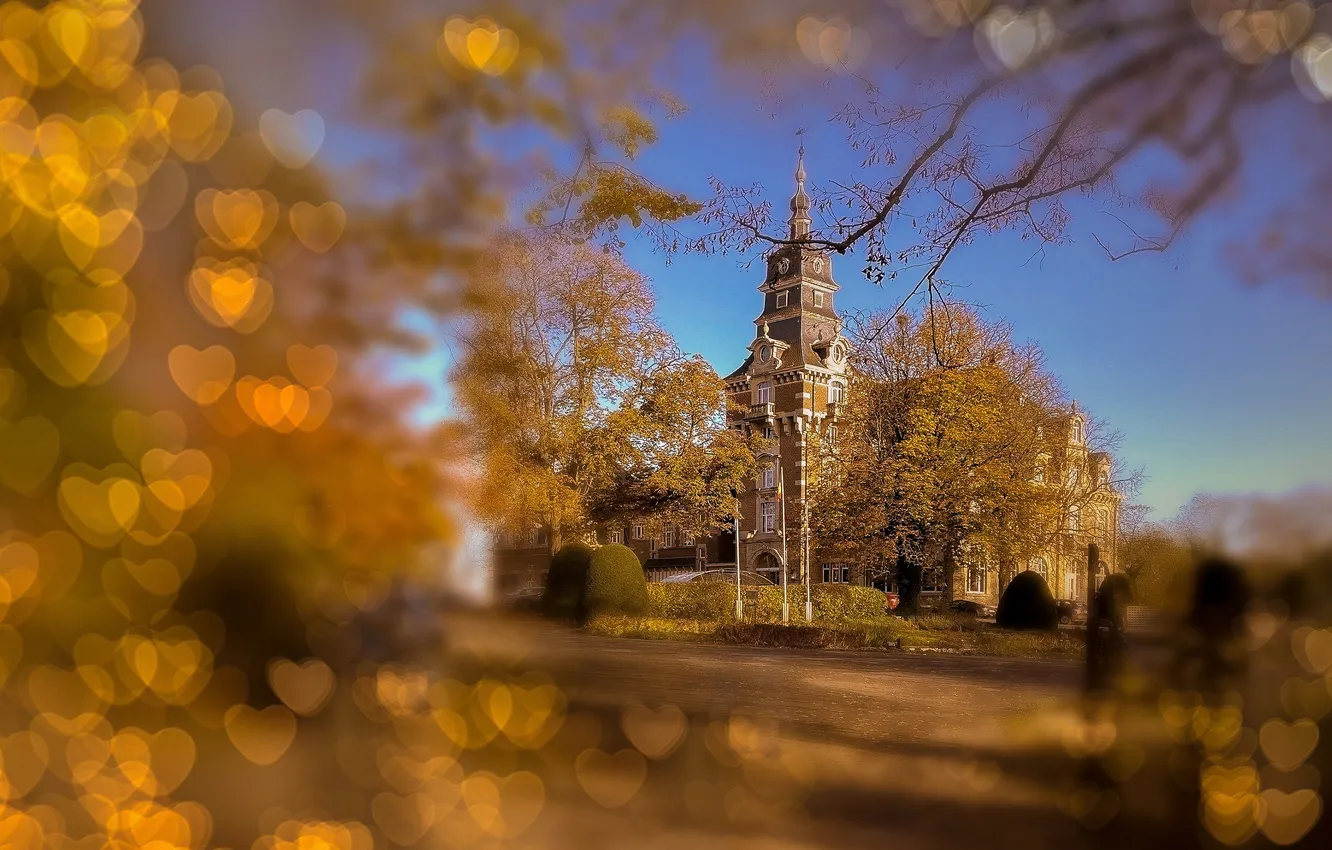 Photo wallpaper autumn, trees, branches, the city, blue, blur, hearts, Belgium