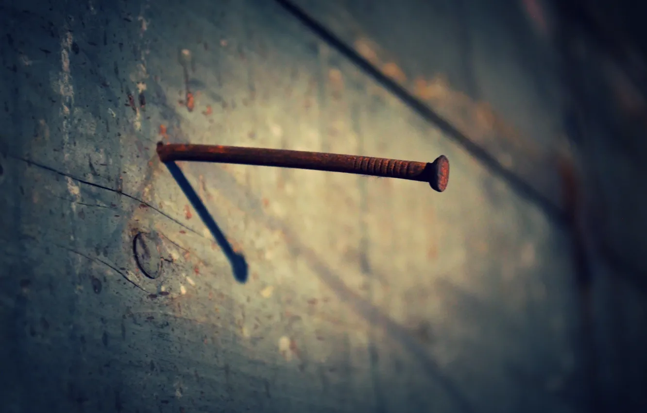 Photo wallpaper background, wall, nails