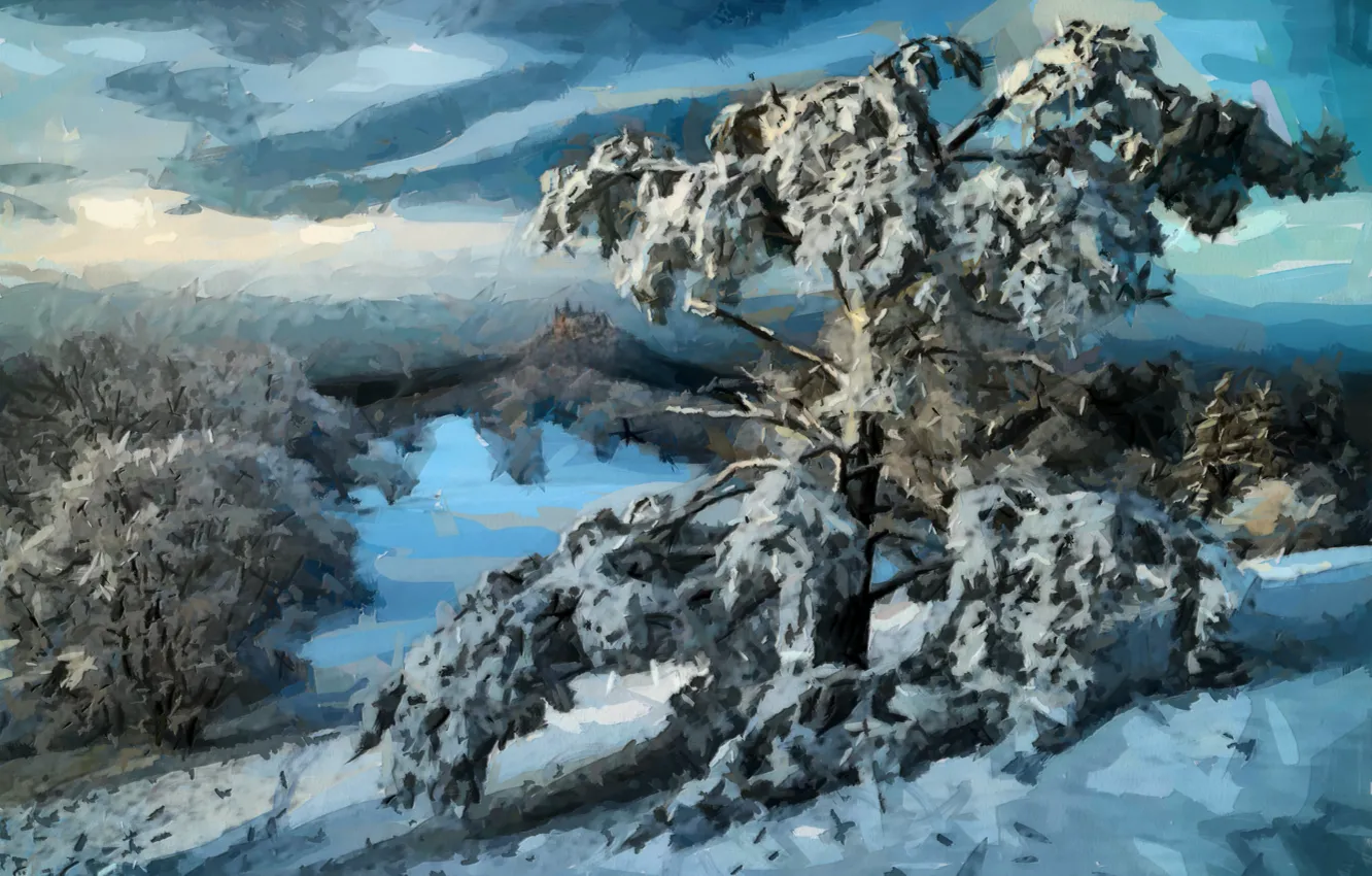 Photo wallpaper winter, forest, snow, trees, landscape