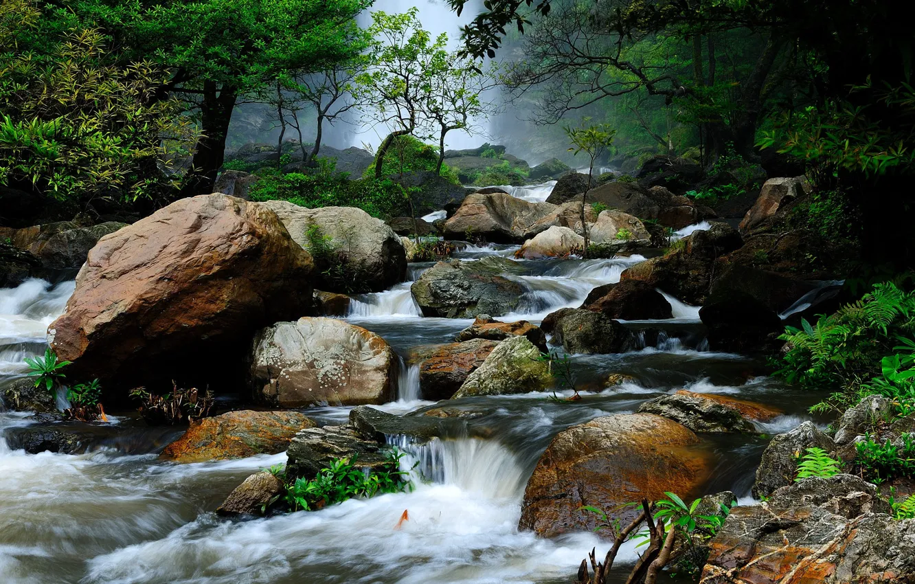 Photo wallpaper forest, trees, landscape, nature, river, stones, for, Thailand