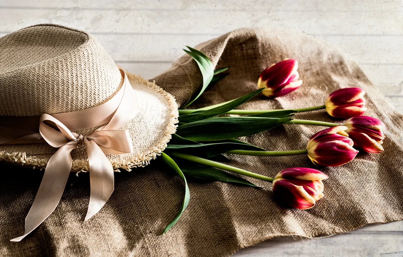 Photo wallpaper hat, tulips, buds