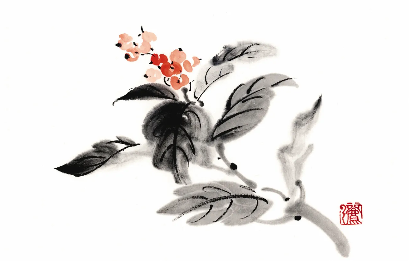 Photo wallpaper leaves, berries, Japan, Painting, currants