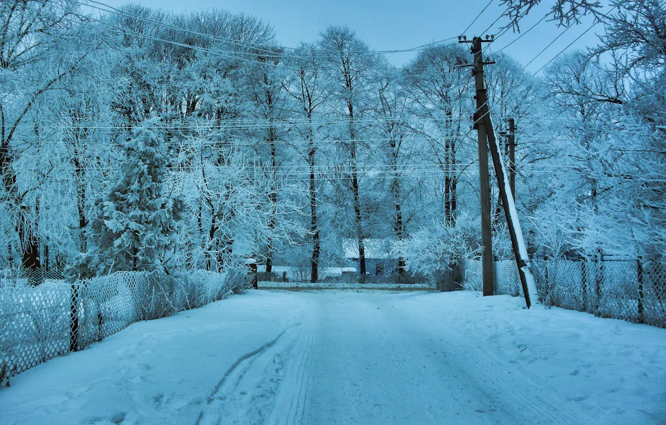 Photo wallpaper winter, road, snow, trees, landscape, wire