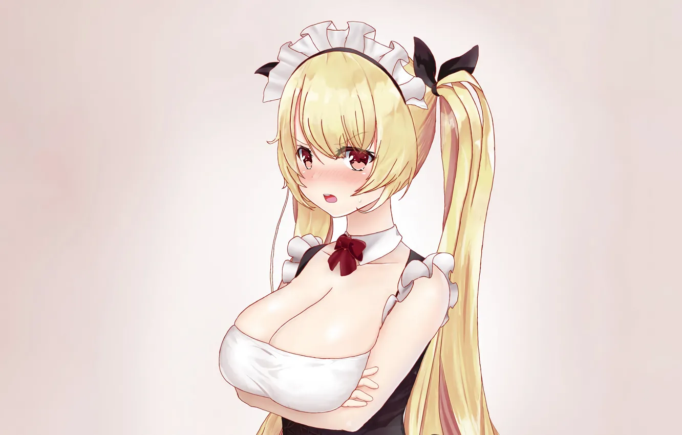 Photo wallpaper girl, Nelson, sexy, cleavage, long hair, dress, boobs, anime