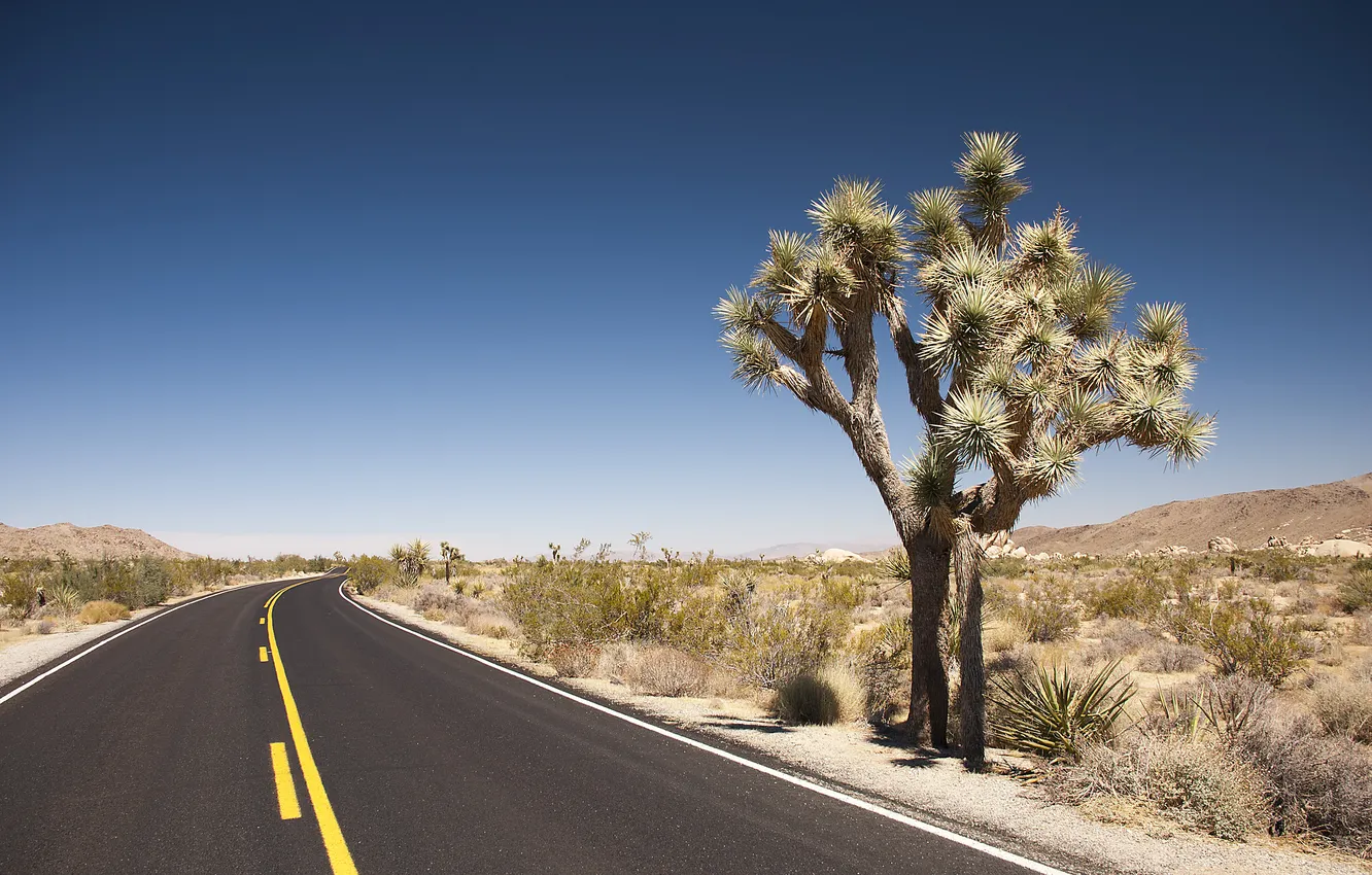 Photo wallpaper road, desert, wild America