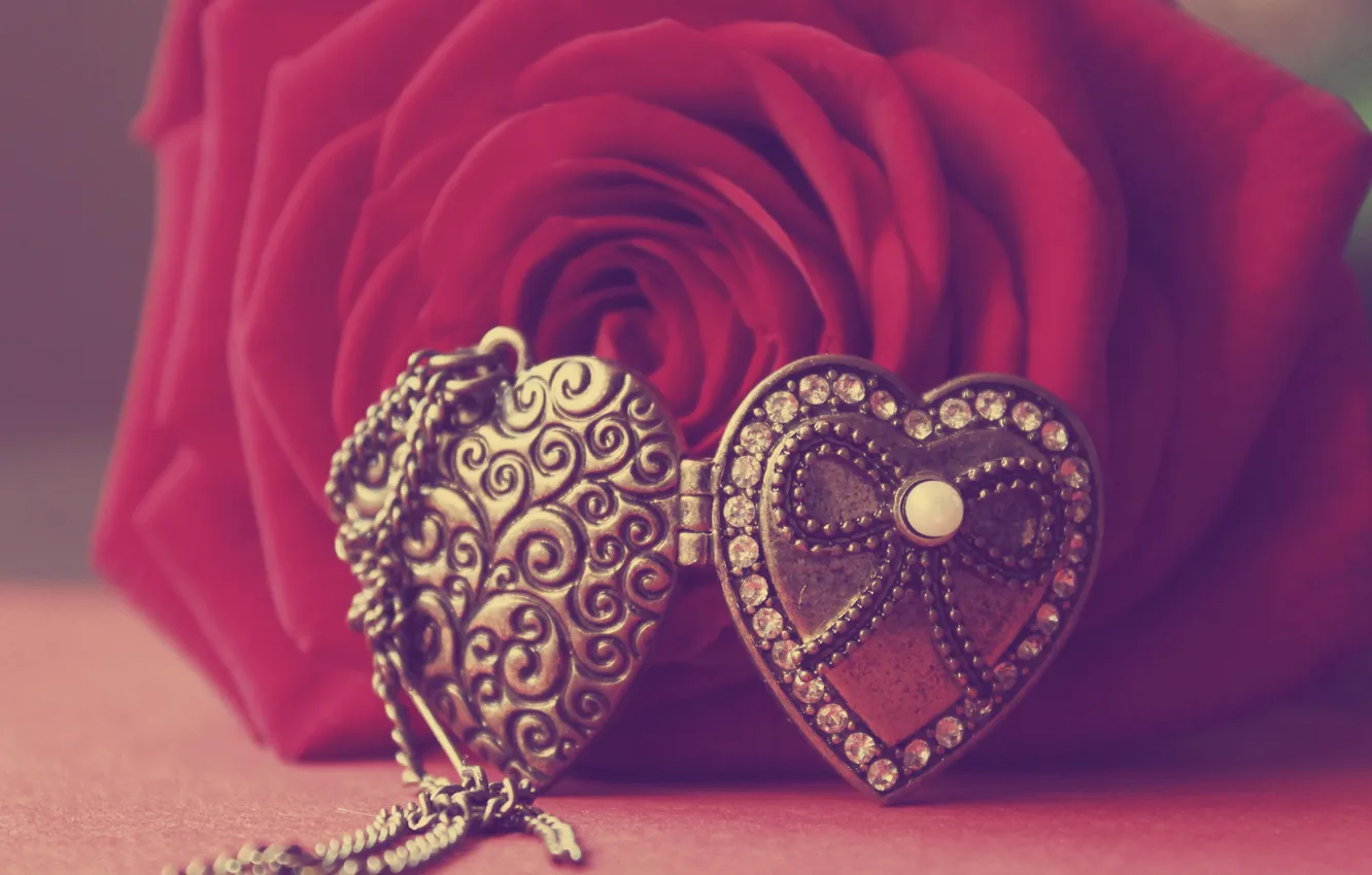 Photo wallpaper photo, rose, pendant, heart, bead