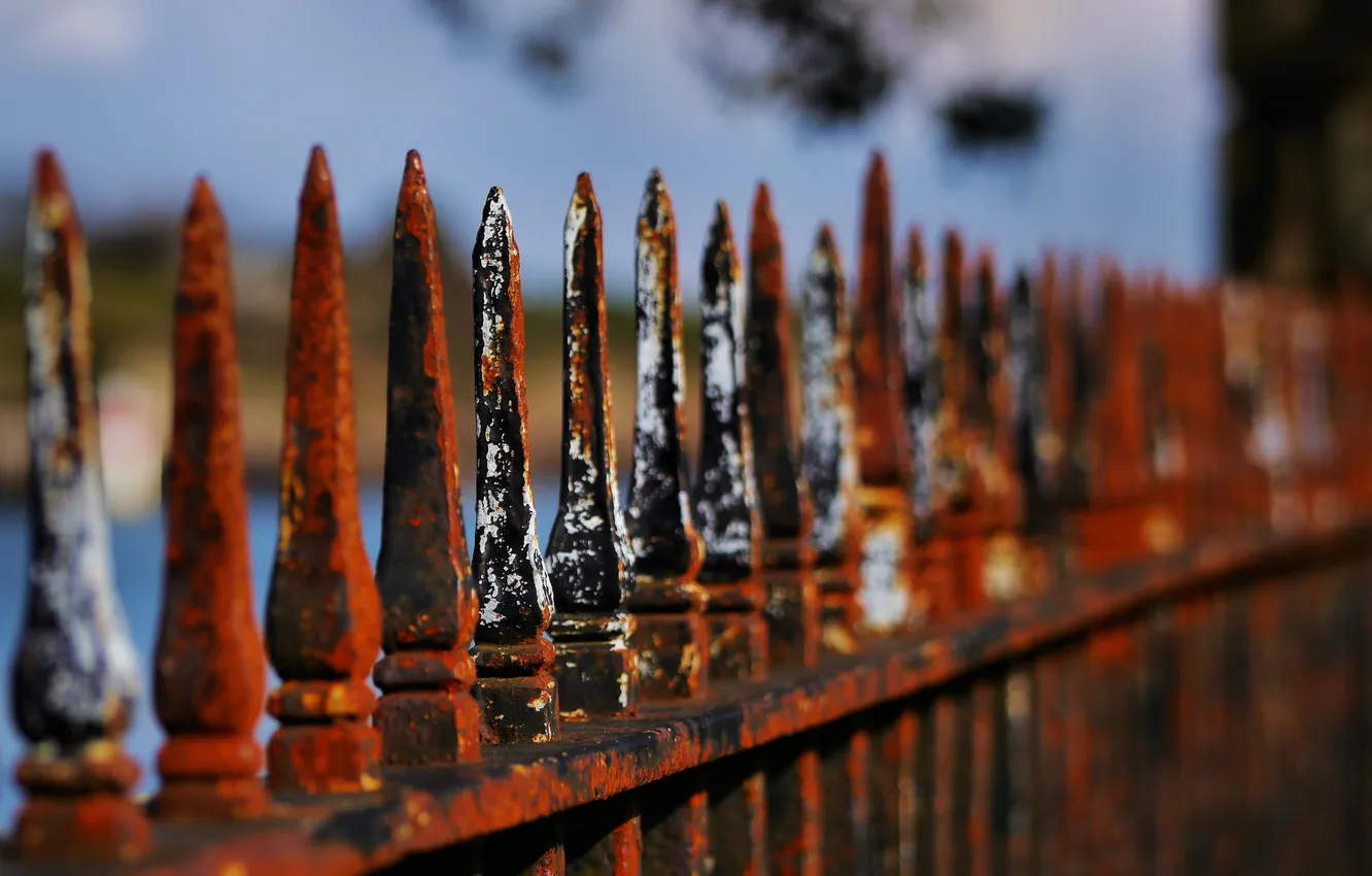 Photo wallpaper macro, background, the fence